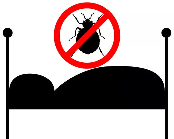 Comment bien choisir un traitement insecticide pour la désinsectisation