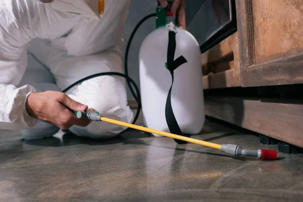 Désinsectisation professionnelle pourquoi est-ce plus efficace que les solutions maison
