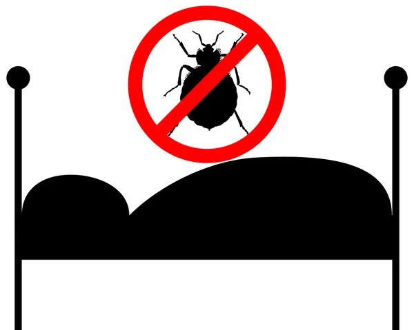 Les causes d'une infestation de punaises de lit