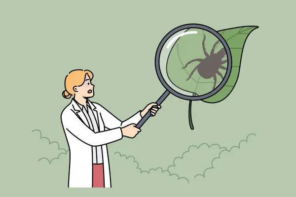 Les méthodes de désinsectisation les plus efficaces pour lutter contre les termites