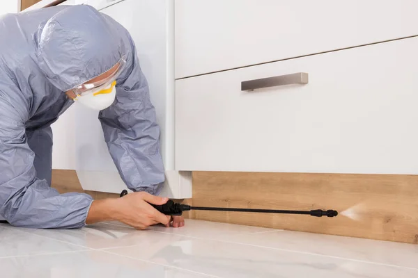 Désinsectisation des locaux professionnels quelles sont les obligations légales