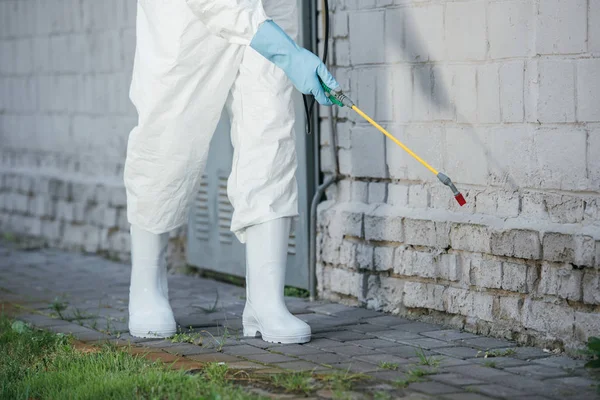 Les avantages de la désinsectisation écologique pour votre maison